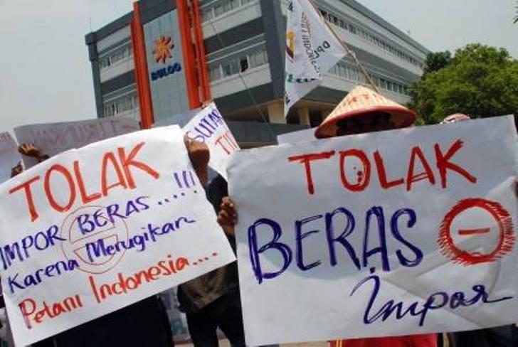 Katanya Produksi Beras Meningkat, Kenapa Masih Impor dari Vietnam ?