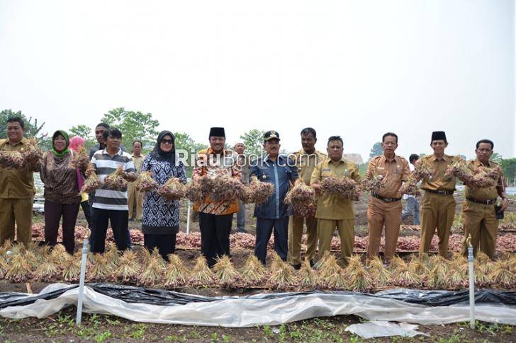 Wow, Malaysia Siap Bayar Rp10 Miliar Untuk RTMPE Kampar