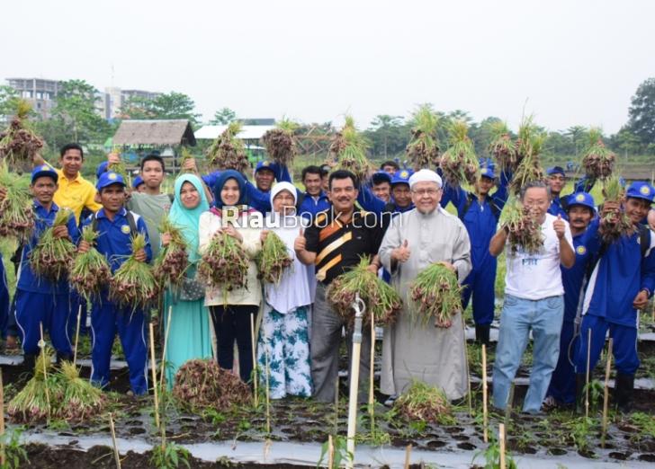 Siapa Bilang Bawang Tak Subur di Gambut, Jefry: Bahkan Kampar Akan kalahkan Brebes