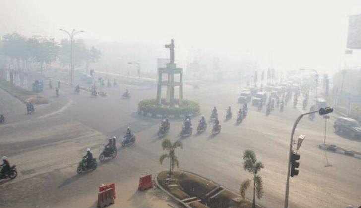 Wow, Ternyata Kerugian yang Dihasilkan dari Karhutla Capai Rp201 Triliun