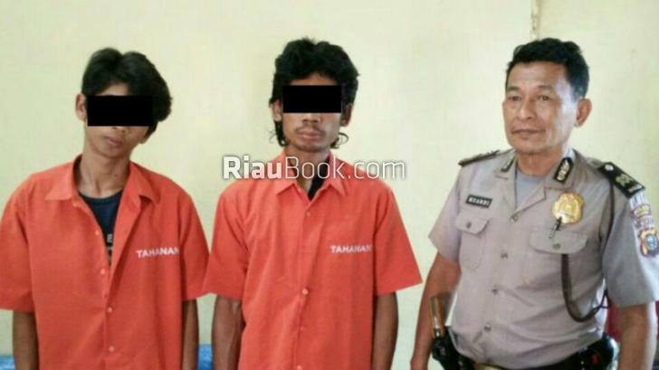 Gelapkan Pakan Ayam, Sopir dan Kondektur di Kampar Dibui