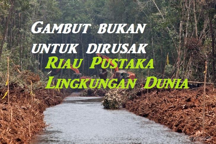 Perlindungan dan Pengelolaan Ekosistem Gambut, Akademisi: Jangan Sampai Rugikan Petani Kecil