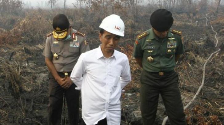 Jokowi Kembali Berencana ke Riau, Kalau Jadi ke Kampar, Siak, Rohul, Inhil dan Pelalawan