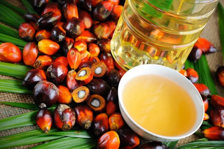 Kabar Gembira, Tahun Ini Harga Sawit Riau Naik