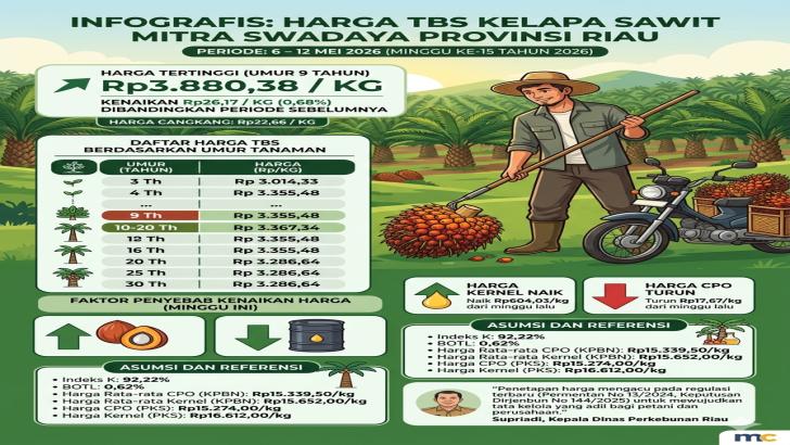 Harga Sawit Riau Naik Turun, Sekarang Tembus Rp3.800 Per Kilogram