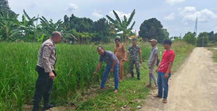 Polisi Sosialisasi Program Ketahanan Pangan di Sungai Sibam, Pekanbaru