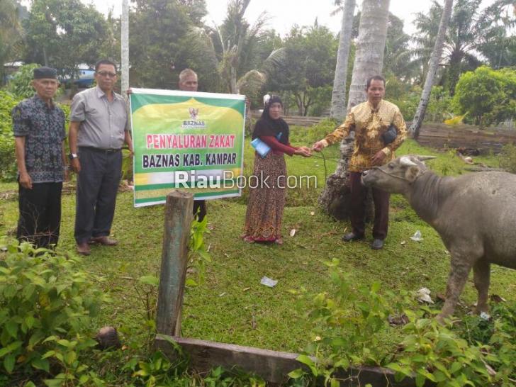 6 Orang Warga Salo Peroleh Bantuan dari BAZNAS Kampar