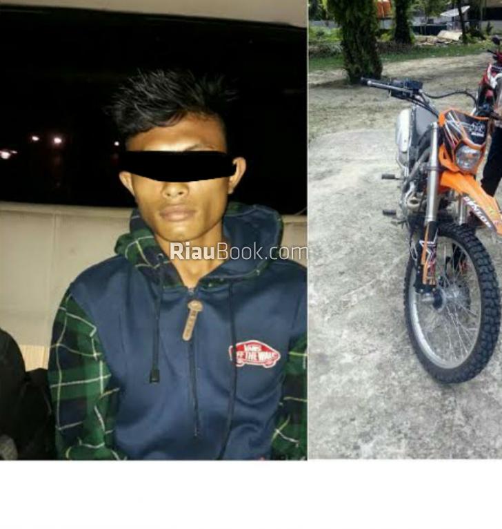 Gelapkan Sepeda Motor Teman, Warga Asahan Diciduk Polisi