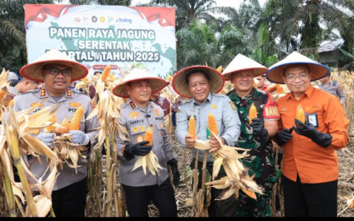 Kapolda Riau Panen Raya Jagung Serentak Kuartal lV di Kampar
