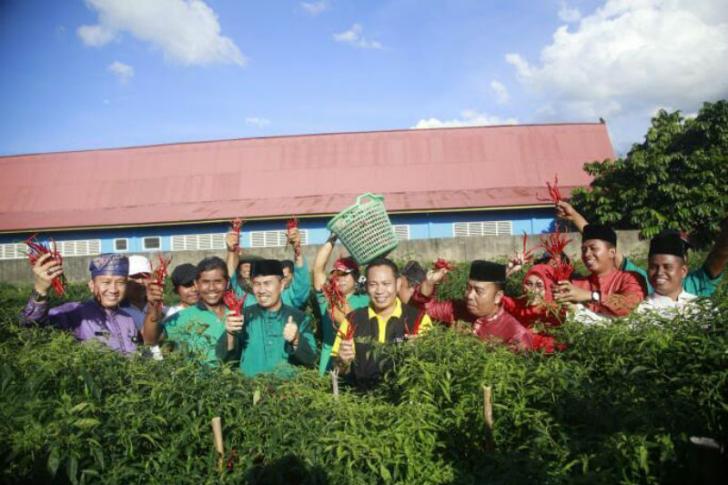 Kalau Mau Jadi Petani Sukses, Jangan Cepat Menyerah