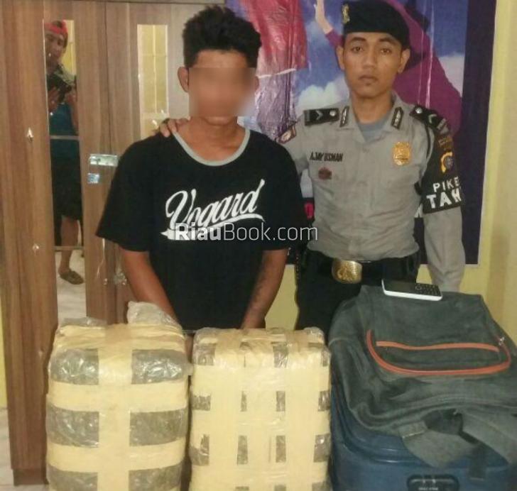 Penangkapan Kurir Narkoba di Rokan Hilir, 8Kg Ganja Disita Polisi