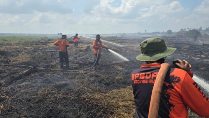 Riau Masuk Daftar Provinsi di Indonesia Prioritas Penanganan Karhutla