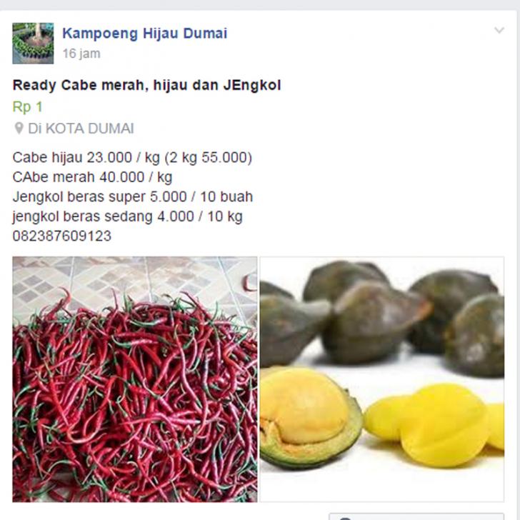 Akun Facebook ini Jual Cabai Merah Lebih Murah dari Harga Pasar Tradisional Dumai