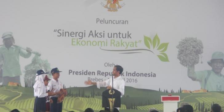 Menteri Ferry Dapat Peringatan dari Jokowi karena Laporan Petani Ini