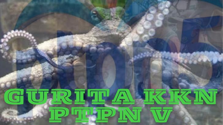 Akademisi: 'Perampasan' Harta Pejabat dan Mantan Pejabat PTPN V Bisa Kurangi Beban Utang BUMN