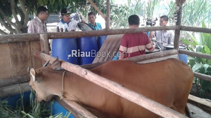 Mau? Paket Hemat untuk jadi Kaya Raya, Jalankan Program ini