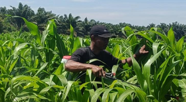 Kapolsek Kandis: Personel Bhabinkamtibmas Penggerak Ketahanan Pangan di Wilayah Binaan