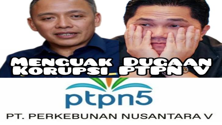 Menguap Dugaan Korupsi dan Utang PTPN V, Pengamat: Palmco Jangan Kaburkan Masalah