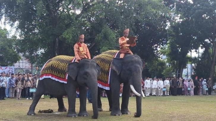 Gajah Ikut Rayakan HUT RI di Riau
