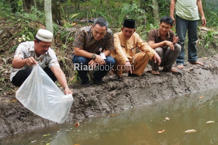 Terimakasih Chevron Dumai untuk 10 Ribu Bibit Lele yang Diberikan