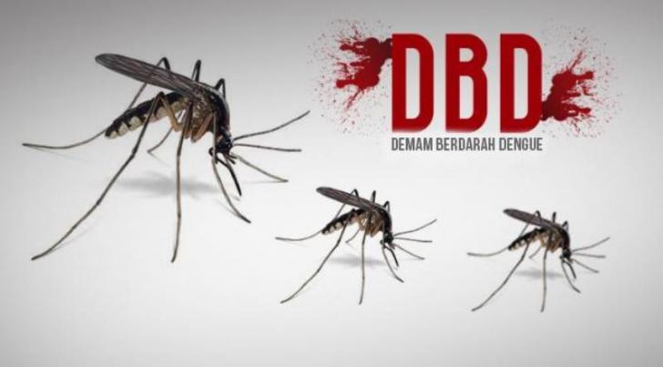 DBD di Pekanbaru Kian Mengkhawatirkan,