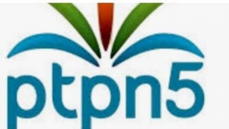 PTPN V Lanjutkan Program Penyediaan Bibit Sawit Unggul untuk Petani