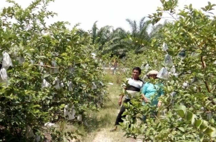 Kampung-kampung di Siak Berciri khas, 
