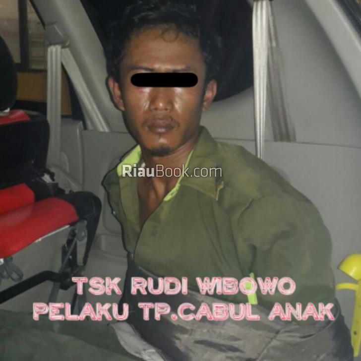Usai Gauli Anak di Bawah Umur, Pelaku Pencabulan Ditangkap Saat Temui Mantan Pacar
