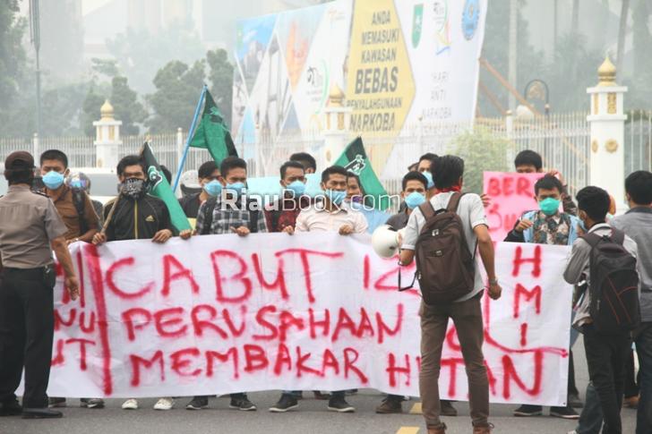 Ini 2 Perusahaan yang Dibidik Polisi Diduga Bakar Lahan Riau