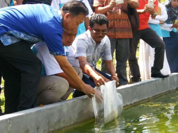 Tingkatkan Ekonomi Masyarakat Melalui Budidaya Lele