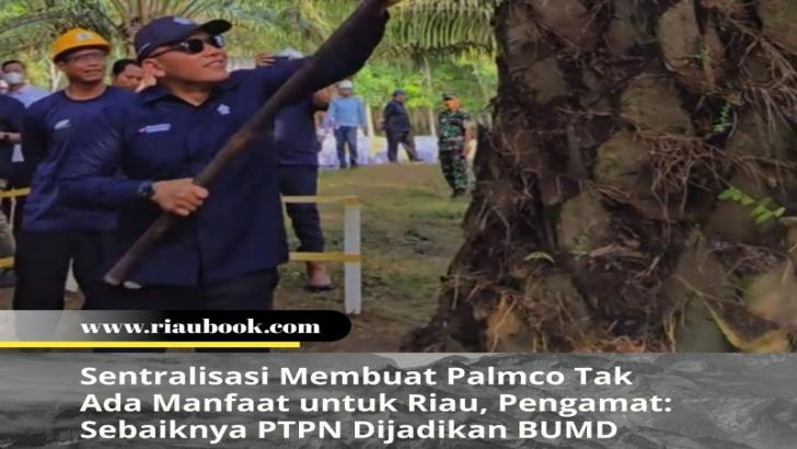 Sentralisasi Membuat Palmco Tak Ada Manfaat untuk Riau, Pengamat: Sebaiknya PTPN Dijadikan BUMD