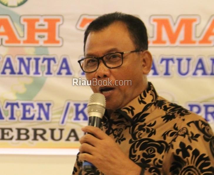 Kewalahan Padamkan Karhutla, Pemkab Rohil Minta Bantuan Lakukan Water Bombing