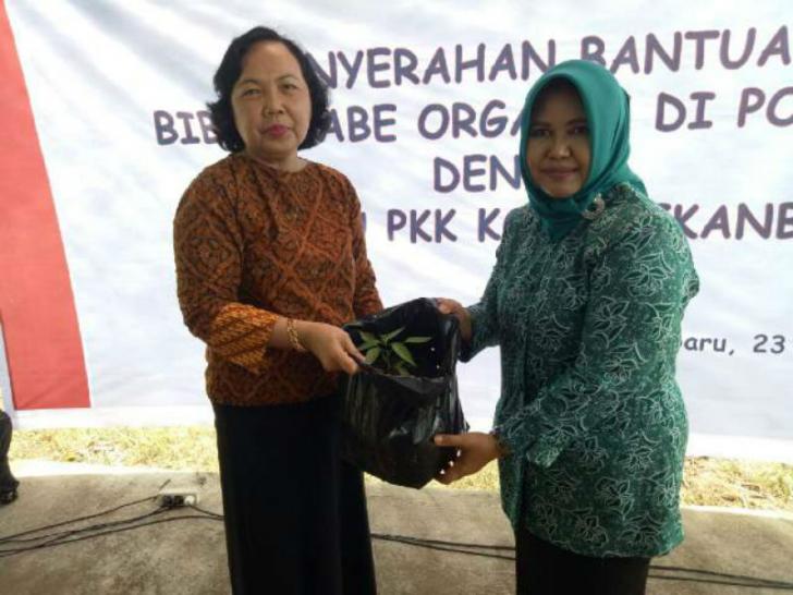 BI Bagikan 5.000 Bibit Cabai Keriting untuk Ibu PKK