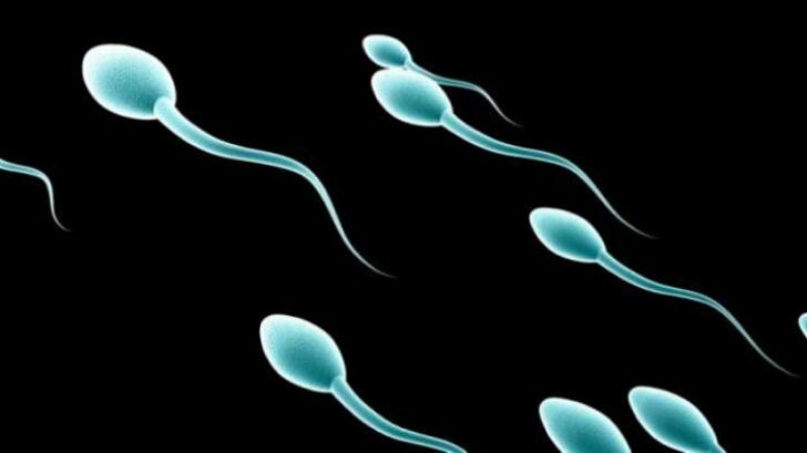 Ilmuwan Temukan Cara Membuat Sperma, Bisakah Diterapkan ke Manusia?