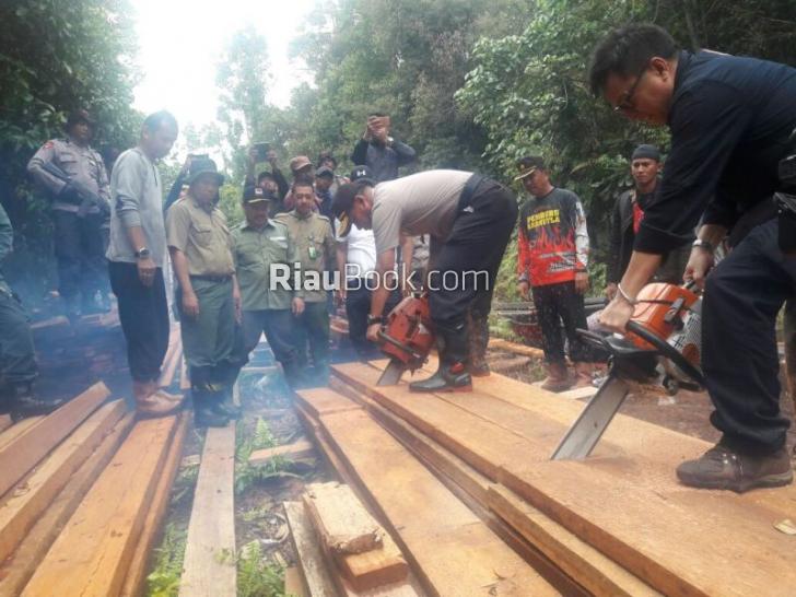 Maraknya Illegal Logging, Kapolda Riau: Saya Beri Waktu 14 Hari Tuntaskan Penangkapan Pelaku