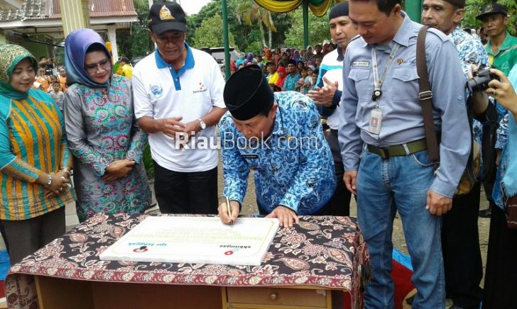 Awas Abrasi Pemkab Rohul Tanam Semiliar Pohon, Ada Matoa dan Durian