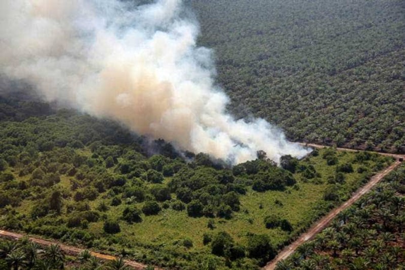 Awal Tahun Diprediksi Kemarau, Waspadai Kebakaran Lahan Riau