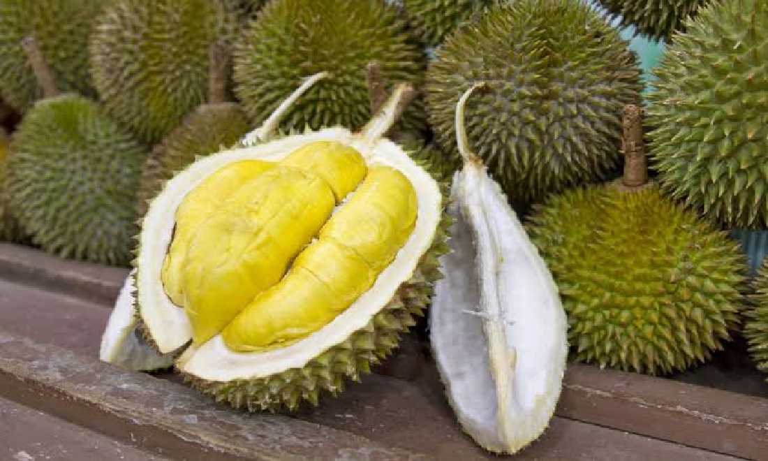 Beli Durian di Batam Kiloan, Buat Kocek 'Bolong'