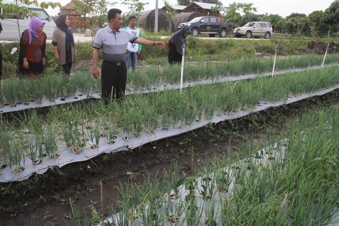 Besok Komisi II DPR Kunjungi P4S Kampar