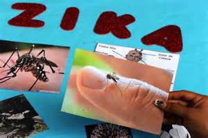 Cegah Virus Zika Masuk Riau, KKP Pekanbaru Siapkan Alat Deteksi Panas Tubuh