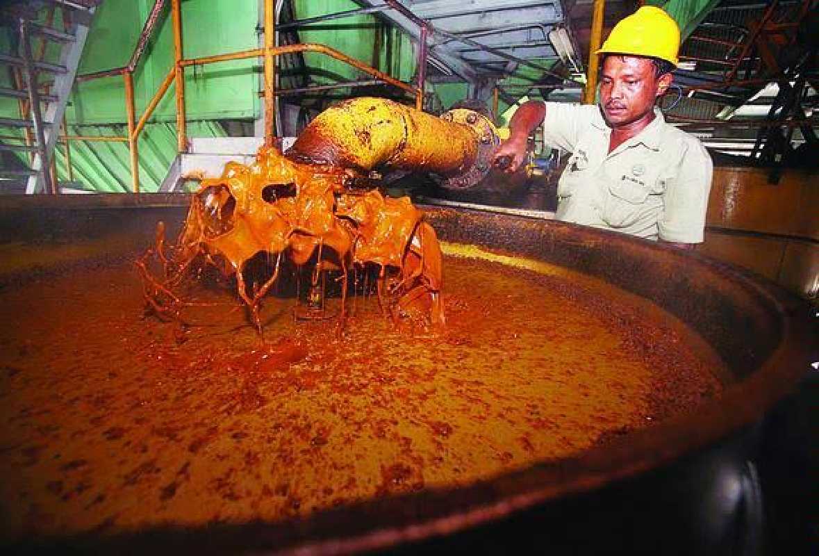 China Kurangi Permintaan CPO, Harga Sawit Riau Pun Turun