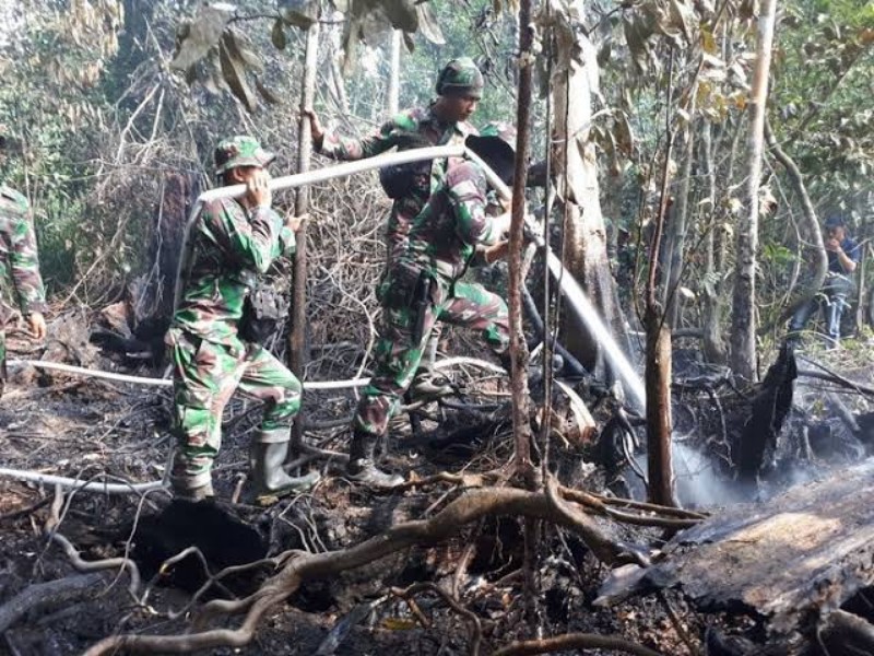 Duh, Lahan di Riau Kebakaran Lagi