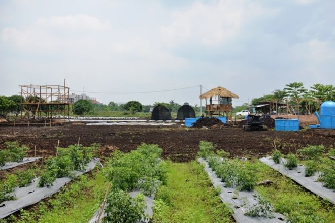 Ganting Siapkan Lahan di Pulau Tengah