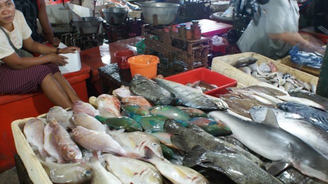 Harga Ikan di Dumai Merosot