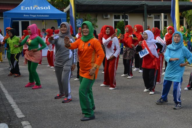 Hj Romaini Ajak Lansia Terus Berkontribusi