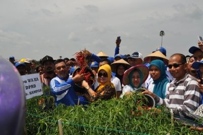 Kampar Siap Penuhi Kebutuhan Cabai di Riau
