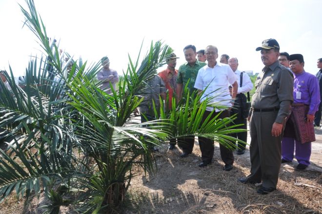 Kampar Target Produksi 2,5 Juta Liter Biourine