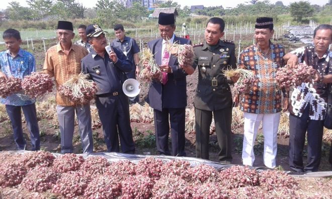 Meranti pun Tergoda Adopsi RTMPE