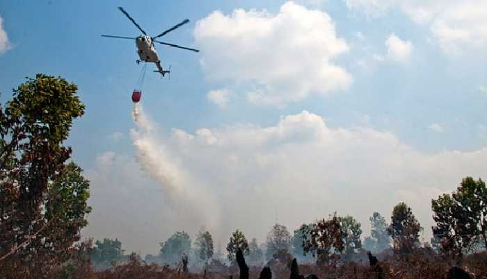 Pangdam Datang, Titik Panas di Riau Menurun Drastis