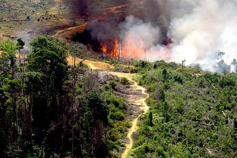 Pemprov Riau Menyambut Baik Fatwa Haram Membakar Hutan dan Lahan dari MUI